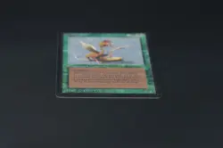Cockatrice Beta MTG Card Magic: the Gathering 1993 - Image 5