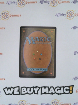MTG | Swamp (252) | THB | Foil | Light Played | JPNanese - Image 2