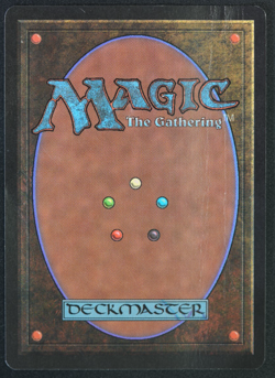 Elvish Archers Beta MTG Card Magic: the Gathering 1993 - Image 3