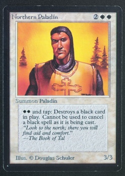 Northern Paladin Beta MTG Card Magic: the Gathering 1993 - Image 1