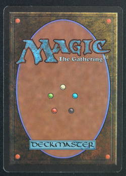 Northern Paladin Beta MTG Card Magic: the Gathering 1993 - Image 3