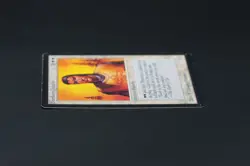 Northern Paladin Beta MTG Card Magic: the Gathering 1993 - Image 4