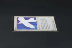 Purelace Beta MTG Card Magic: the Gathering 1993 - Image 4