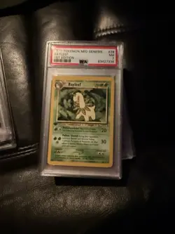 Pokemon TCG 1st Edition Neo Genesis Bayleef 28/111 Uncommon - NM - Image 1