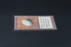 Dingus Egg Beta MTG Card Magic: the Gathering 1993 - Image 4