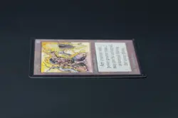Meekstone Beta MTG Card Magic: the Gathering 1993 - Image 4