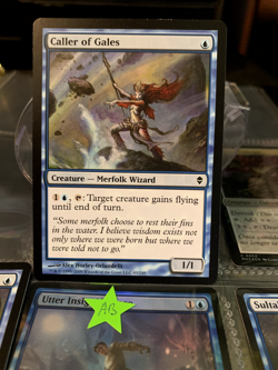 MTG Caller of Gales Zendikar 43/249 Regular Common - Image 1