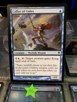 MTG Caller of Gales Zendikar 43/249 Regular Common - Image 2
