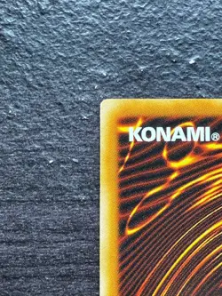 Black Rose Dragon CSOC-JP039 Holo Japanese Ghost Rare YuGiOh LP+ - Image 3