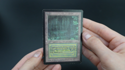 Bayou Beta MTG Card Magic: the Gathering 1993 Dual Land - Image 2