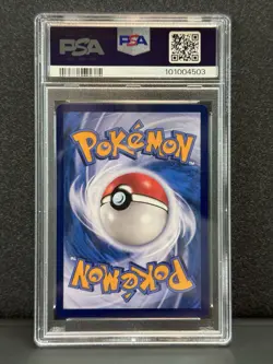 PSA 10 Glaceon VMAX Chinese Eevee Heroes Alt Art Hyper HR #168 - Pokemon Card - Image 2