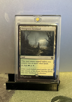 MTG Overgrown Farmland - Innistrad Remastered (INR) #281 Magic the Gathering - Image 1