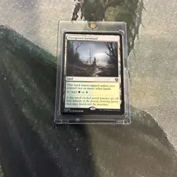 MTG Overgrown Farmland - Innistrad Remastered (INR) #281 Magic the Gathering - Image 4