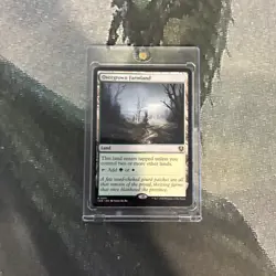 MTG Overgrown Farmland - Innistrad Remastered (INR) #281 Magic the Gathering - Image 5