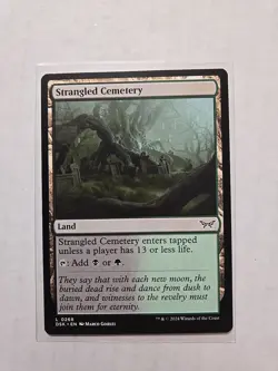 Strangled Cemetery - Duskmourn - LP - MTG Magic - Common - Land - Image 1