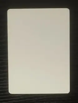 Magic MTG Italian Revised Erg Raiders Artist Proof Near Mint - Only 50 Exist! - Image 2