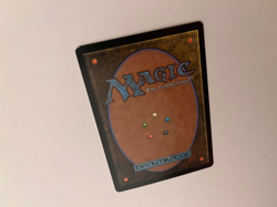 The Wandering Minstrel (Surge Foil, Borderless, FIN 548) - MTG Final Fantasy - Image 3