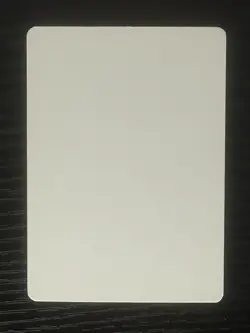 Magic MTG Italian Revised Swamp Artist Proof Near Mint - Only 50 Exist! - Image 2