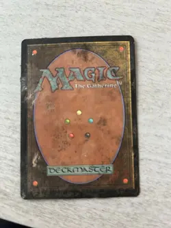 Magic: The Gathering Urza's Destiny Yavimaya Hollow, Please Read - Image 2
