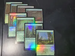 Magic: The Gathering Land Card Set - Holographic Edition 40 Cards +2 - Image 3