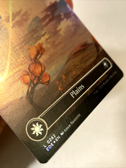 MTG Plains (Borderless Foil) Edge of Eternities 0262 NM - Image 2