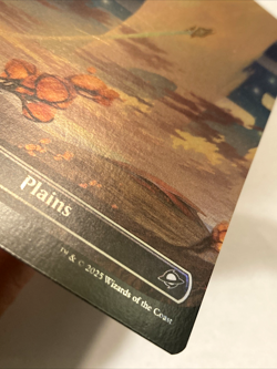 MTG Plains (Borderless Foil) Edge of Eternities 0262 NM - Image 3