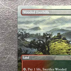 Wooded Foothills (Borderless) - MH3 #361 LP Non-Foil - MTG Magic - Image 2