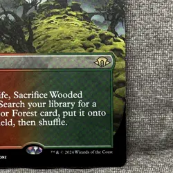 Wooded Foothills (Borderless) - MH3 #361 LP Non-Foil - MTG Magic - Image 5