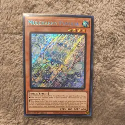 Yugioh Yu-Gi-Oh! Mulcharmy Purulia INFO-EN027 1st edition Secret Rare NM - Image 1
