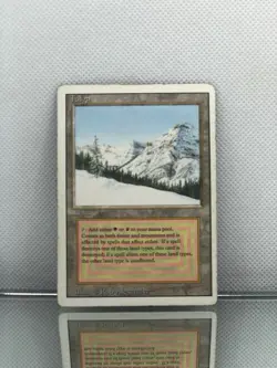 MTG Taiga Revised Edition Dual Land LP Magic the Gathering - Image 1