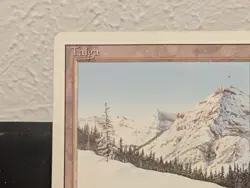 Taiga Signed MTG Magic The Gathering Revised Dual Land - Image 3