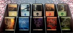 GirlGames - PACK FRESH SPM FOIL COLLECTOR SET MARVEL'S SPIDER-MAN MTG BASIC LAND - Image 1