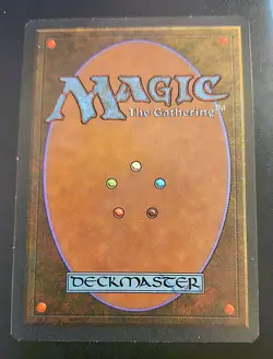 Savannah Revised Edition Regular - Image 2