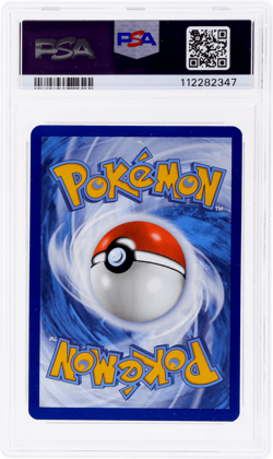 2024 Pokemon Scarlet and Violet Stellar Crown Squirtle Illustration Rare PSA 9 - Image 2