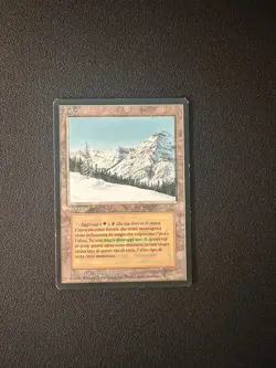 MTG: FBB Italian Taiga LP Foreign Black-Bordered Dual Land Revised - Image 1