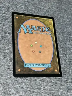 Isolated Chapel - FIC 0405 NM/M - MTG Magic Non Foil - Image 2