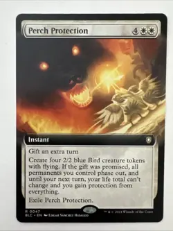 Perch Protection (Extended Art) Commander: Bloomburrow Regular - Image 1