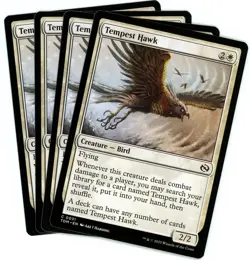 x4 Tempest Hawk - 0031 - Tarkir Dragonstorm - MTG - NM/M - Image 1