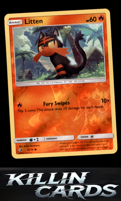 Reverse Holofoil Litten 12/70 Pokemon Common Dragon Majesty Card NM - Image 1