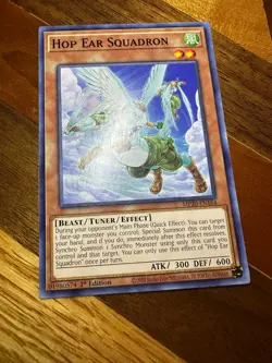 Hop Ear Squadron MP20-EN164 1st Edition Common LP + BONUS - Image 1