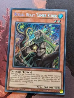 Ritual Beast Tamer Elder - RA03-EN012 - Secret Rare - Yugioh - Image 1
