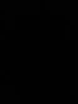 Sidequest: Raise a Chocobo Final Fantasy Foil MINT Pack Fresh - Image 2