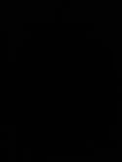 Sidequest: Raise a Chocobo Final Fantasy Foil MINT Pack Fresh - Image 3