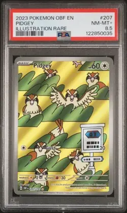 2023 POKEMON OBF EN-OBSIDIAN FLAMES ILLUSTRATION RARE #207 PIDGEY PSA 8.5 - Image 1