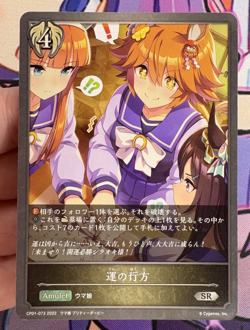 Whereabout of Luck CP01-073 SR Shadowverse Evolve Trading Card Game 🍬 - Image 1