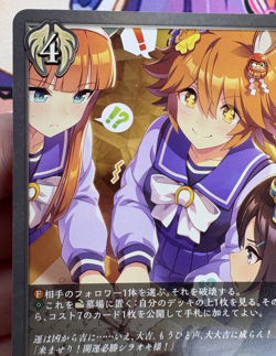 Whereabout of Luck CP01-073 SR Shadowverse Evolve Trading Card Game 🍬 - Image 3