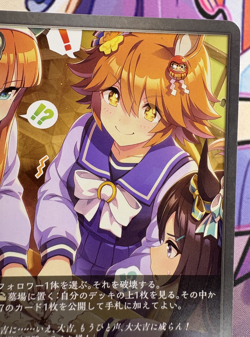 Whereabout of Luck CP01-073 SR Shadowverse Evolve Trading Card Game 🍬 - Image 4