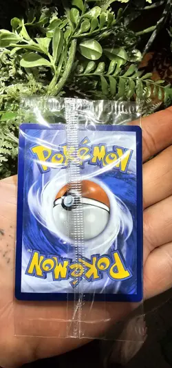 *SEALED Charmander 044 SVP EN Pokemon Obsidian Flames ETB Promo Scarlet & Violet - Image 4