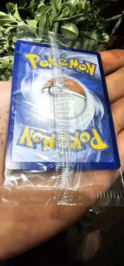 *SEALED Charmander 044 SVP EN Pokemon Obsidian Flames ETB Promo Scarlet & Violet - Image 5