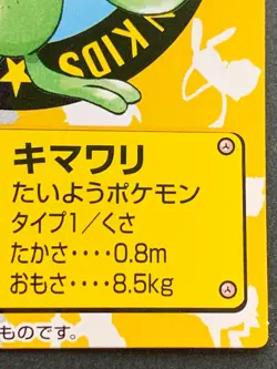 Pokemon Kid's mini card Sunflora NO.166 2001 Pokemon TCG Japan BANDAI NINTENDO - Image 4